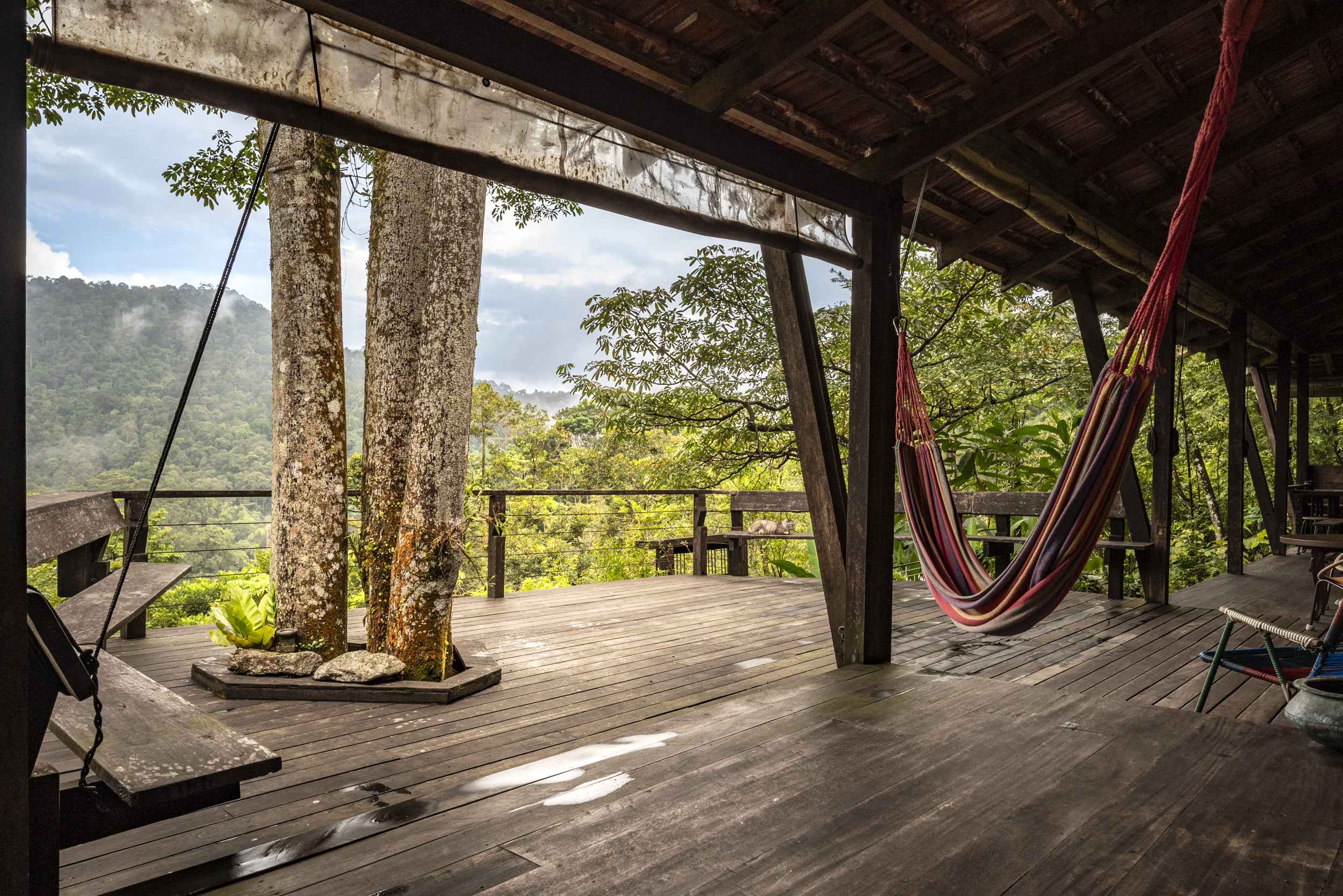 A view of Spyder Hill main deck with a hammock to chill. Behind it is the Berembun Forest Reserve.