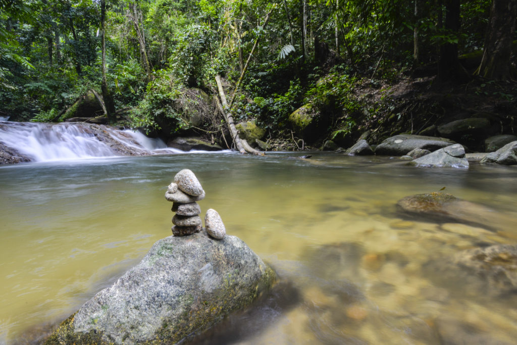 A serene and gentle waterfall pool to swim in during the trek into the Berembun Forest Reserve