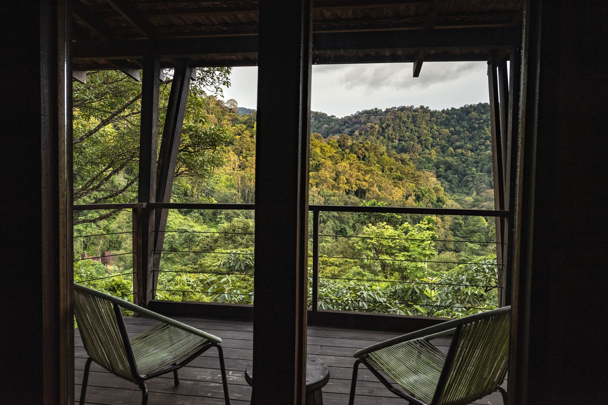 View of Berembun Forest Reserve from Spyder room balcony