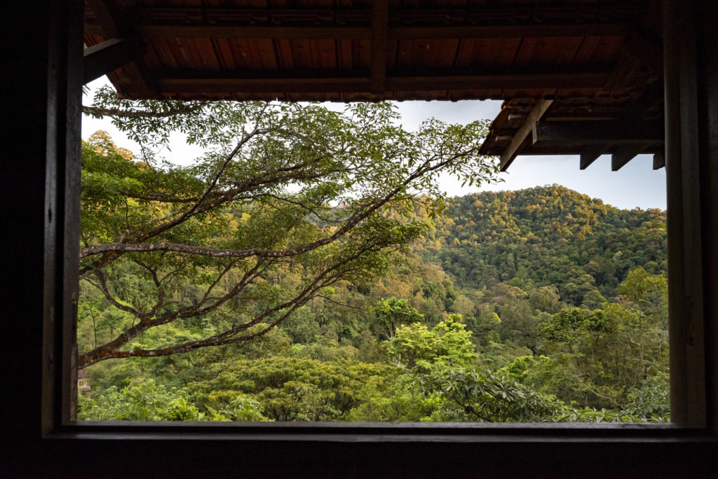 View of Berembun Forest Reserve from Spyder room toilet.