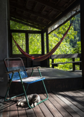Spyder hill chillout space with hammock
