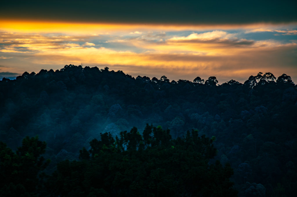 A view of the Berembun Forest Reserve during sunrise, from Spyder Hill.