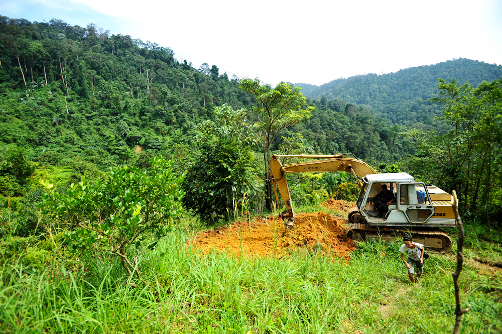 The start of a great adventure. A long arm excavator carving out the site to build Spyder Hill at Pantai Hill Orchard Resort.
