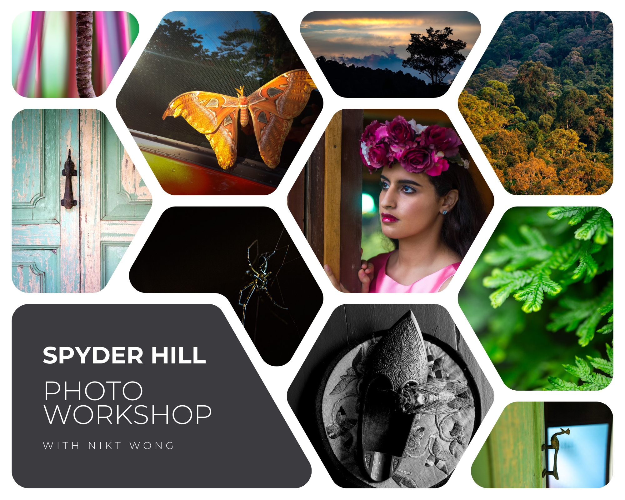 A collage of photos representing a photography workshop offered at Spyder Hill.